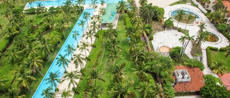 A resort with a long swimming pool, palm trees, and a beach view.