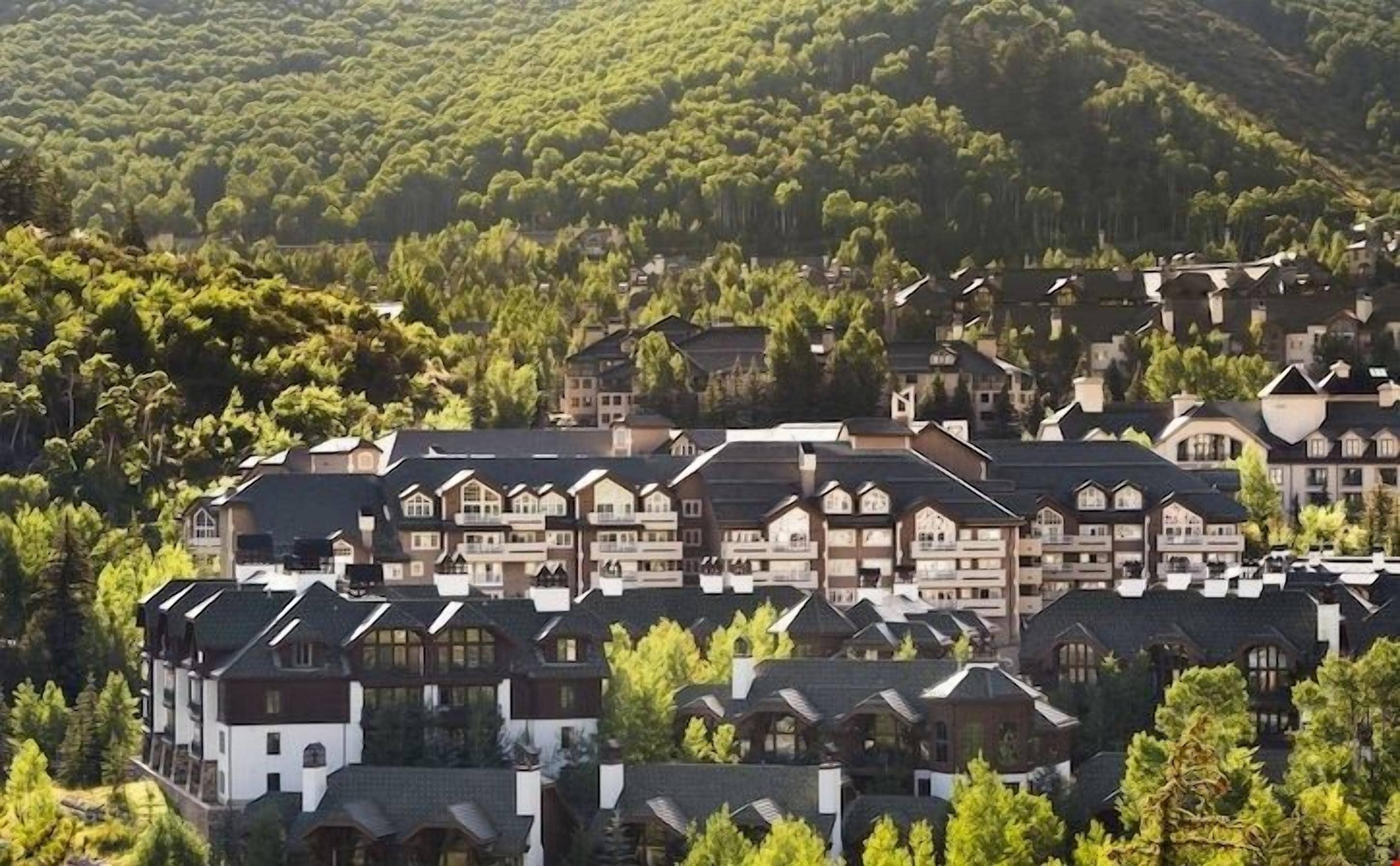 Zona residencial con varias casas de dos pisos, rodeada de un bosque denso.