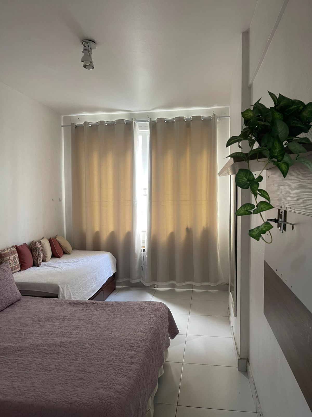 A bedroom with two beds, a ceiling fan, a window with curtains, and a potted plant.