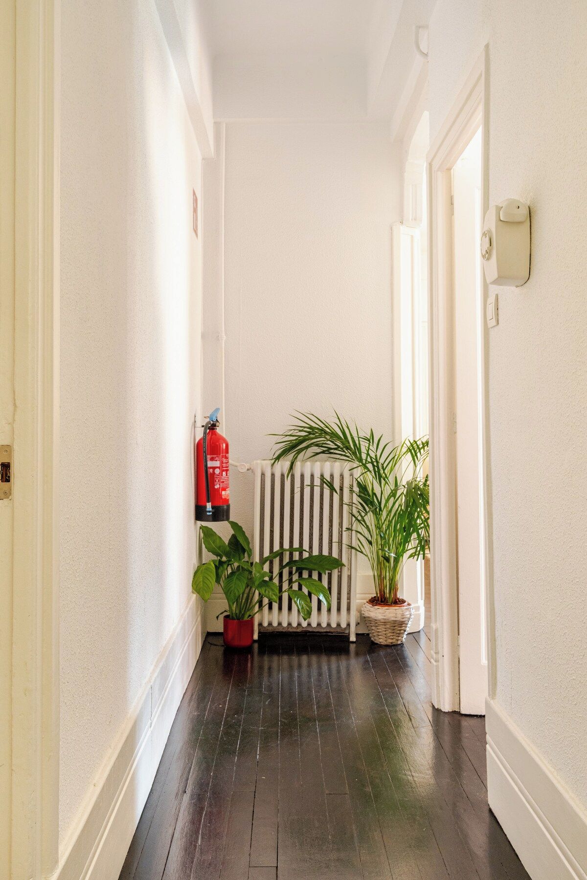 Un pasillo con un radiador, un extintor de incendios en la pared y plantas en macetas.