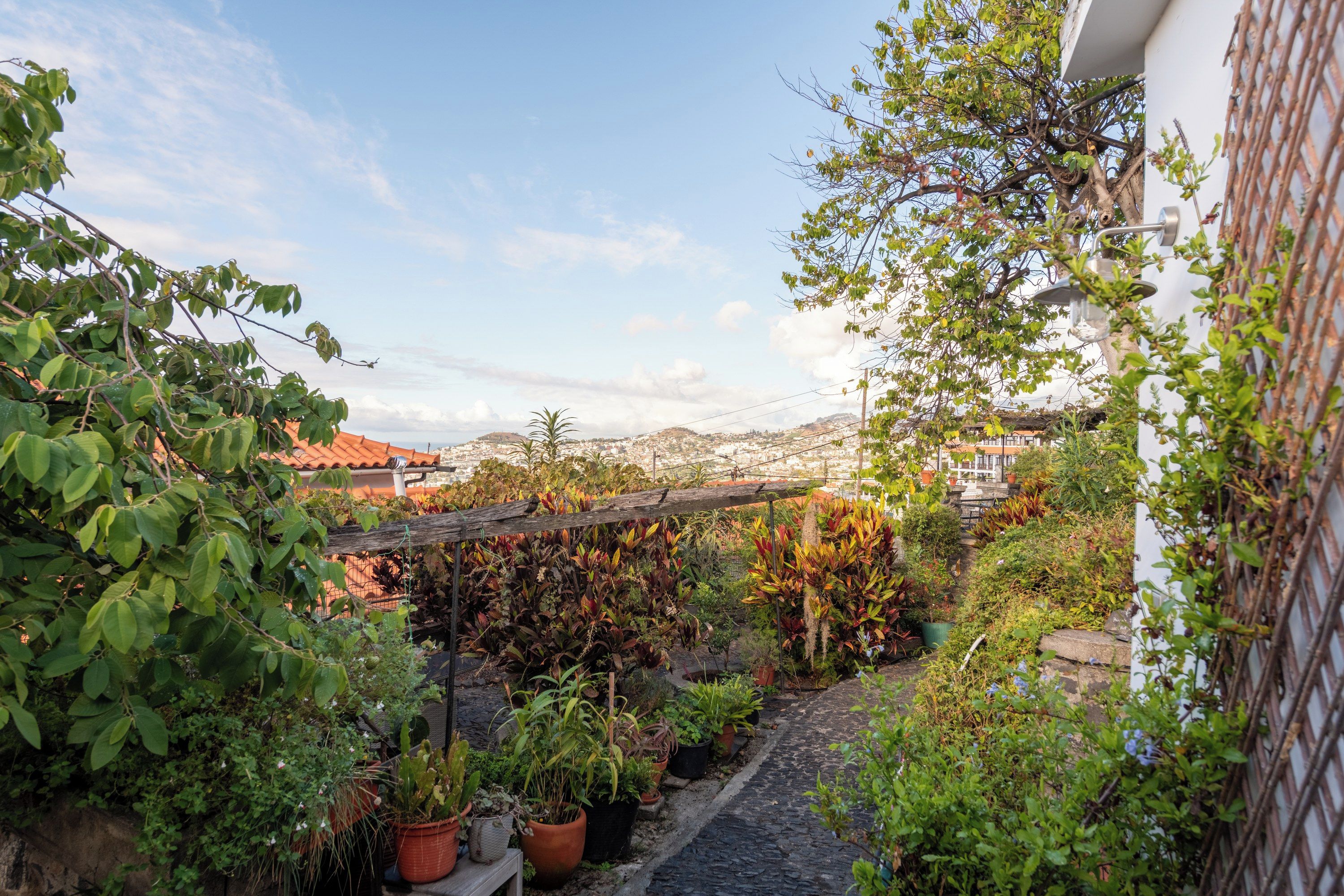 Un jardin sur le toit, agrémenté de plantes en pot, offrant une vue sur le paysage urbain.