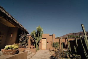 Exterior - Casa Molle (Vicuña)