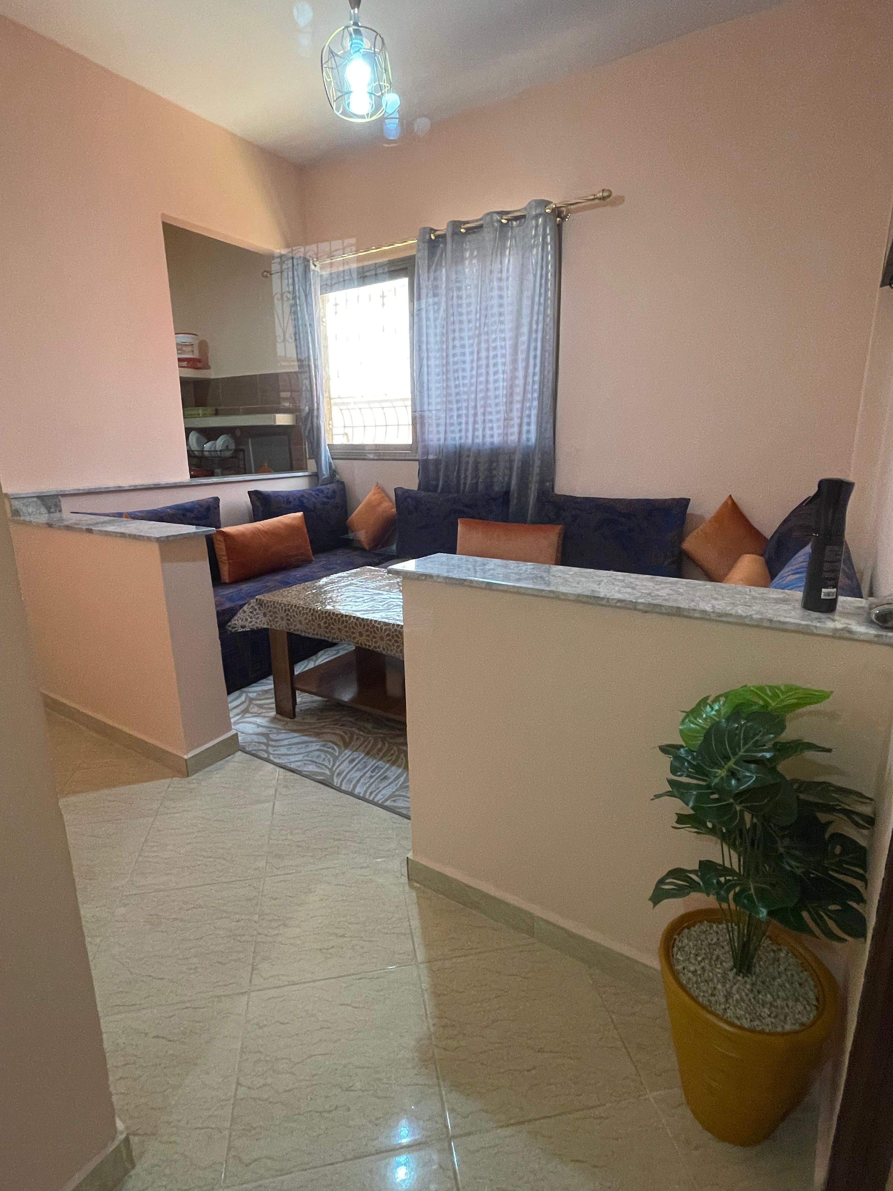 Una sala de estar con un sofá, una mesa de centro y una planta en maceta.