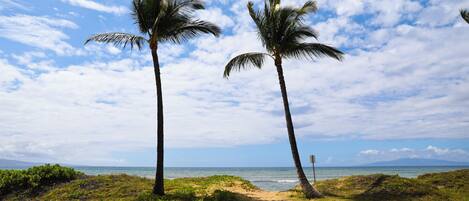 A coastal landscape with two palm trees, a clear sky, and a view of the ocean.
