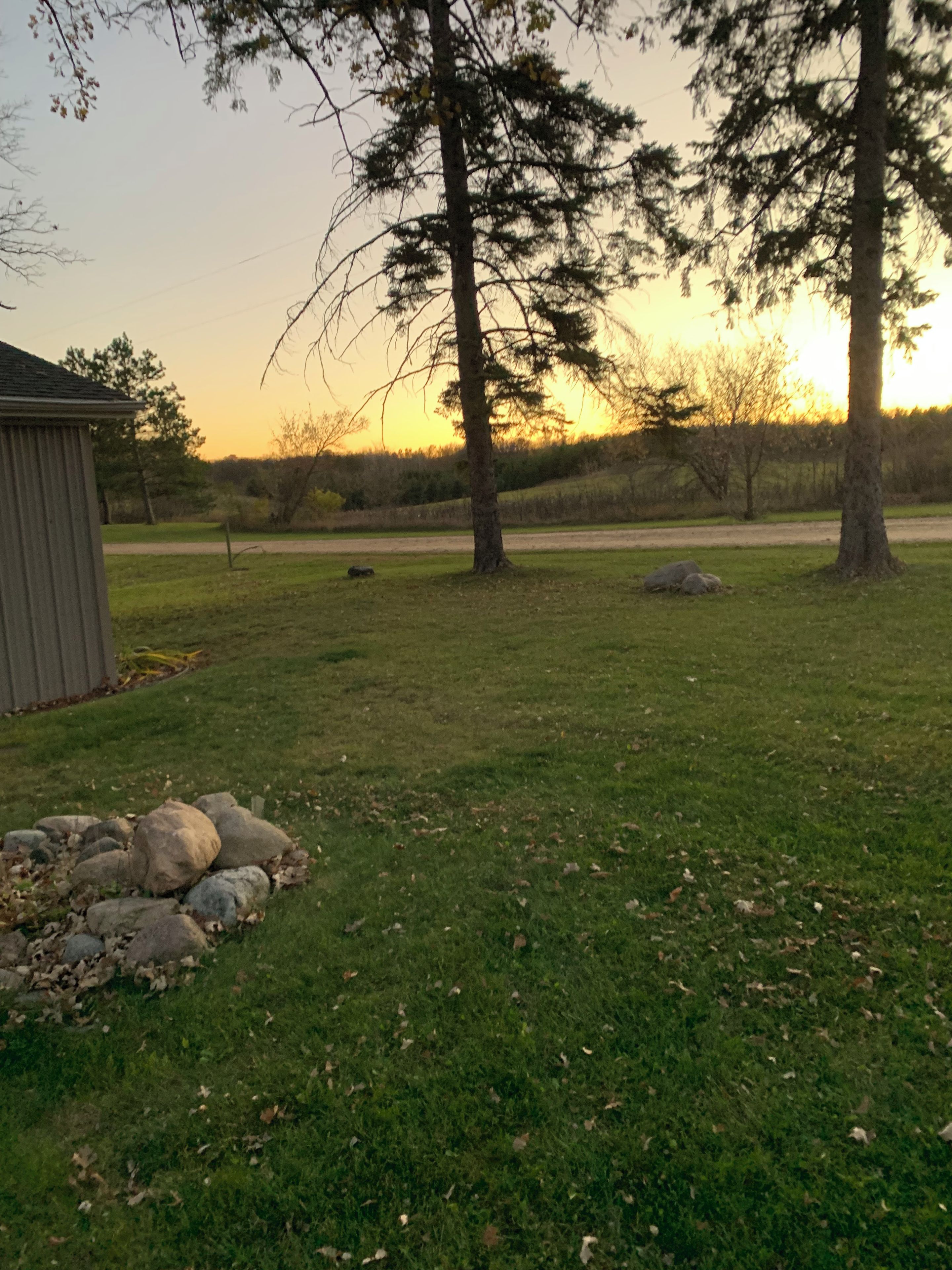 A grassy outdoor area with trees and a shed.