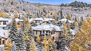 Una zona residencial con varias casas, algunas con balcones, rodeada de árboles cubiertos de nieve.