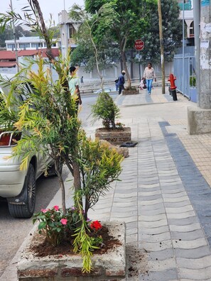 A paved walkway with planters and a parked car. - Spacious 3BR Serviced Apartment Near Bole Airport (Addis Ababa)