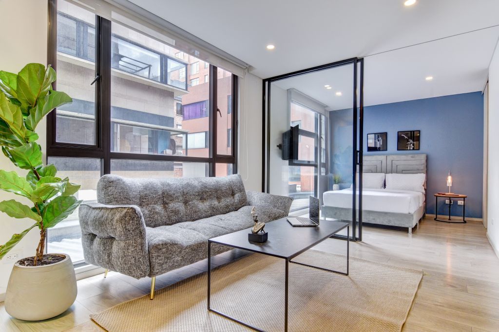 A modern living room with a sofa, a coffee table, and a potted plant.
