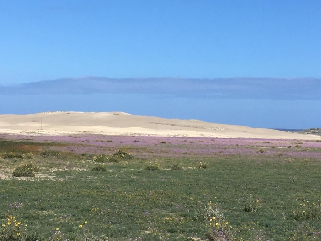 Een vlak landschap met een heldere lucht.