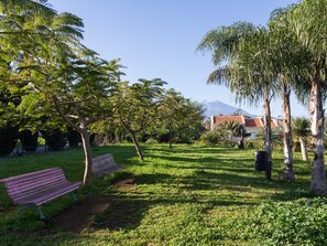A park with a bench, grass, trees, and a mountain in the background. - CHL La Plaza, amazing views Tenerife (Santa Úrsula)