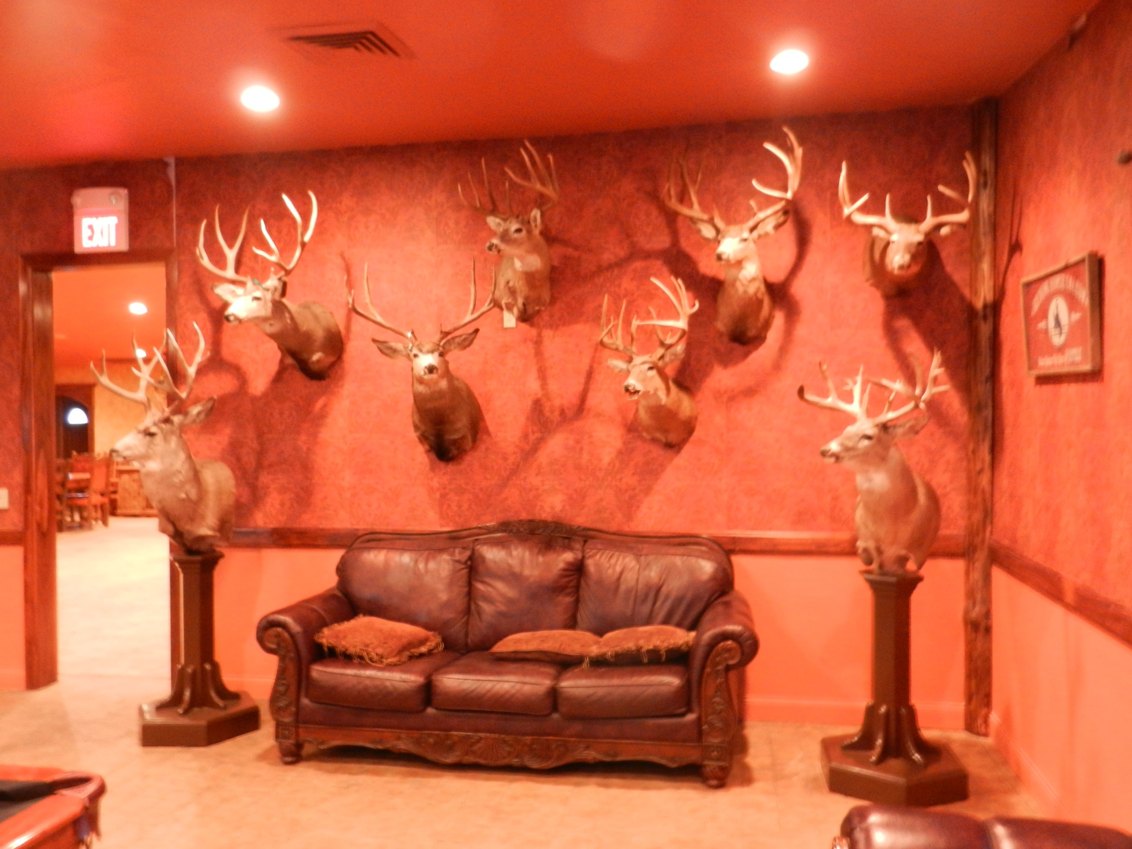 A lobby with a brown leather sofa, a red carpet, and mounted deer heads on the wall.