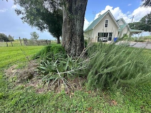Una casa con techo verde, un árbol grande en la entrada y un patio cubierto de césped.