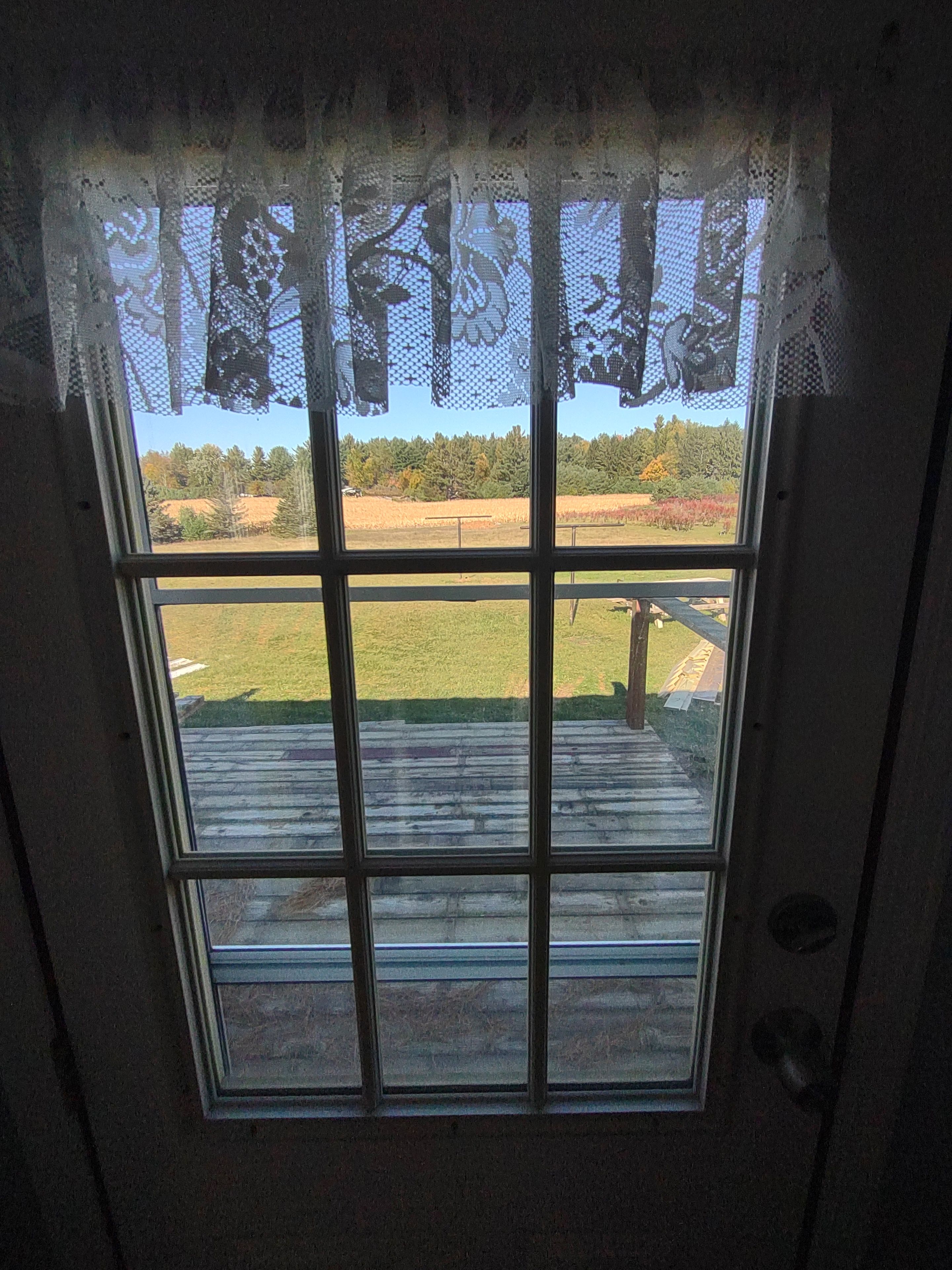 A window with a view of a grassy field and trees.