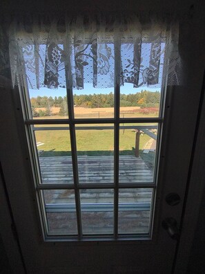 Ett fönster med utsikt över en gräsklädd äng och träd.