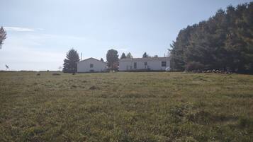 A white single-story house with a front porch and a large yard.