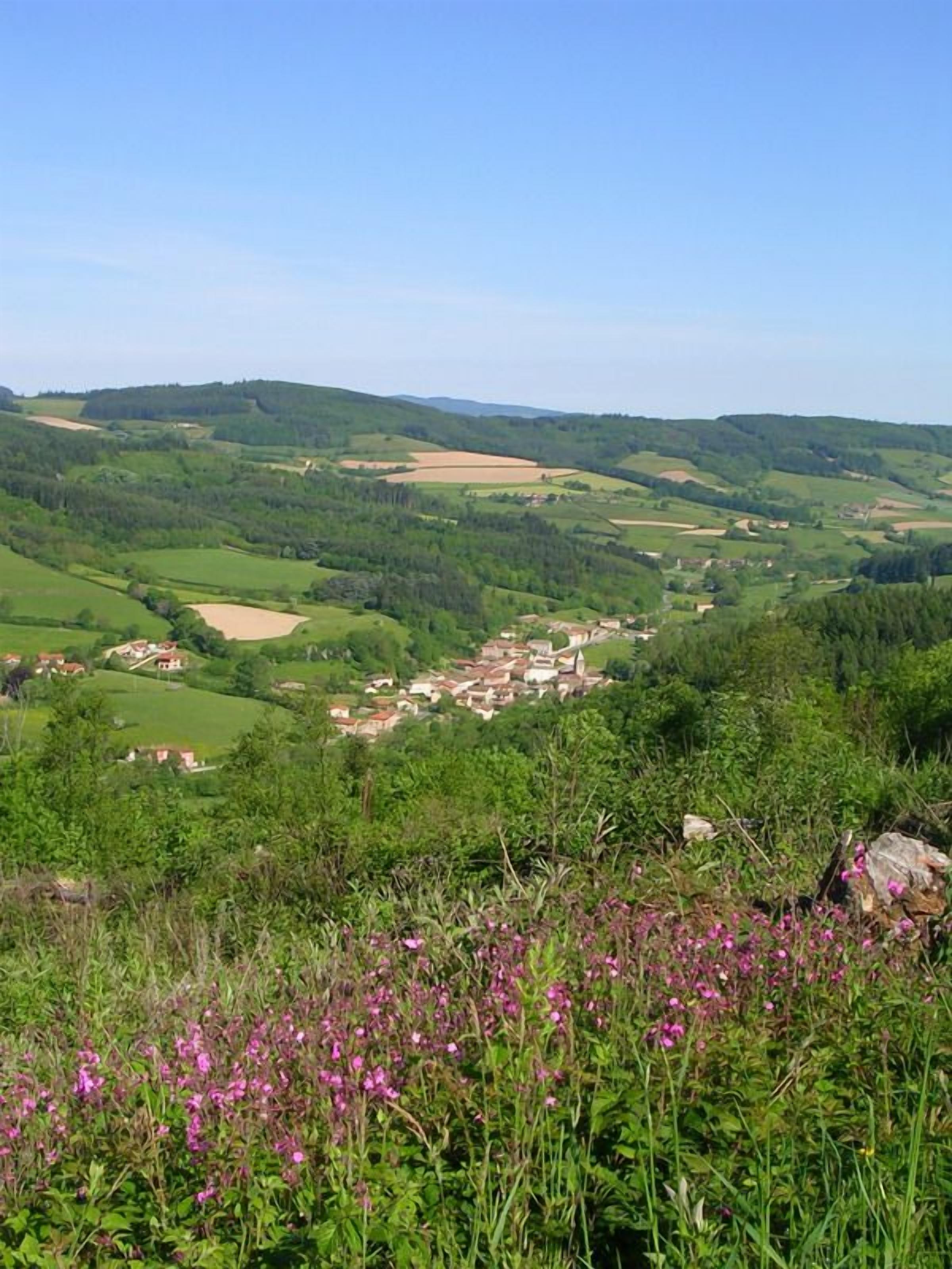 A rural landscape with rolling hills, a small village, and a foreground of wildflowers.