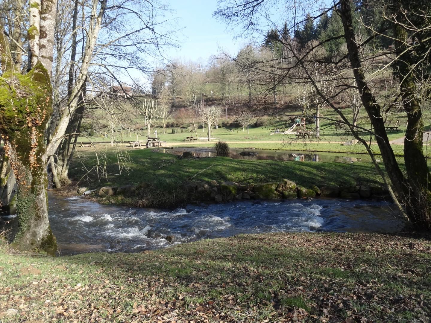 A park with a flowing river, grassy areas, and trees.