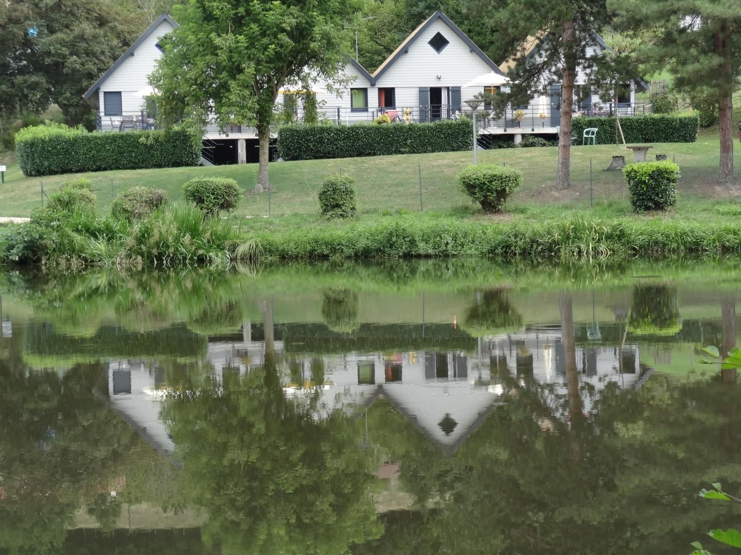 Een rustige woonwijk met een vijver die de huizen en bomen weerspiegelt.