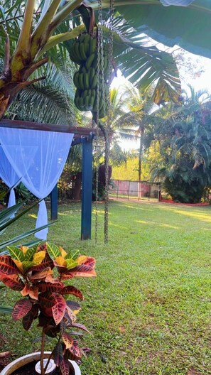 A garden with a hanging bunch of bananas, a bed with red leaves, and a blue canopy structure. - Country house with heated pool and gourmet area in an apartment in Goiânia. (Aparecida de Goiânia)