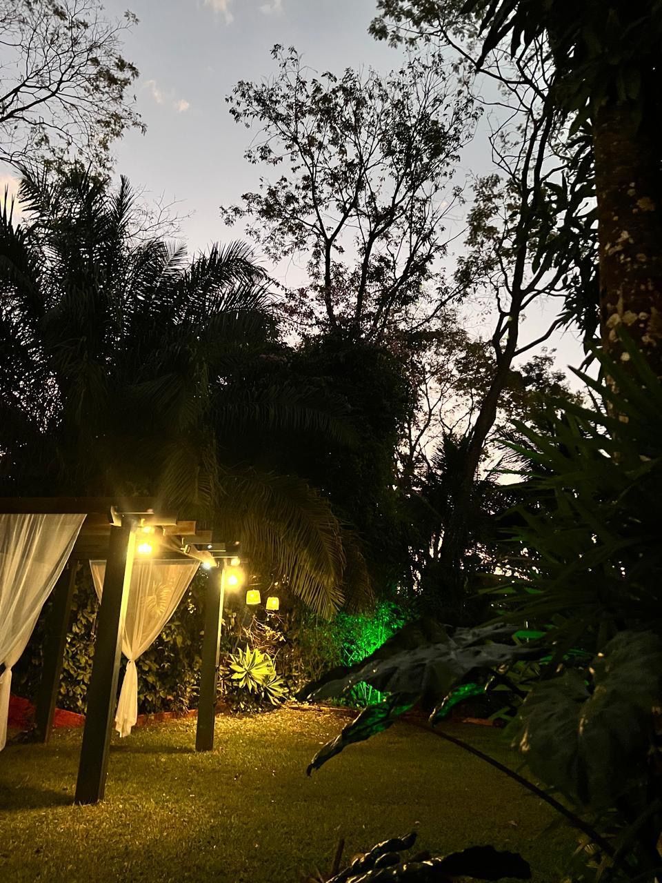 An outdoor garden area with a canopy structure and ambient lighting.