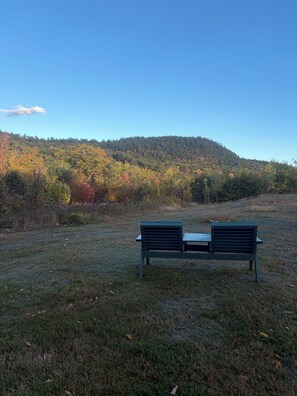 A bench in a grassy field with a forested hill in the background. - 
 Titus's Getaway  Pet-friendly (Hartford)