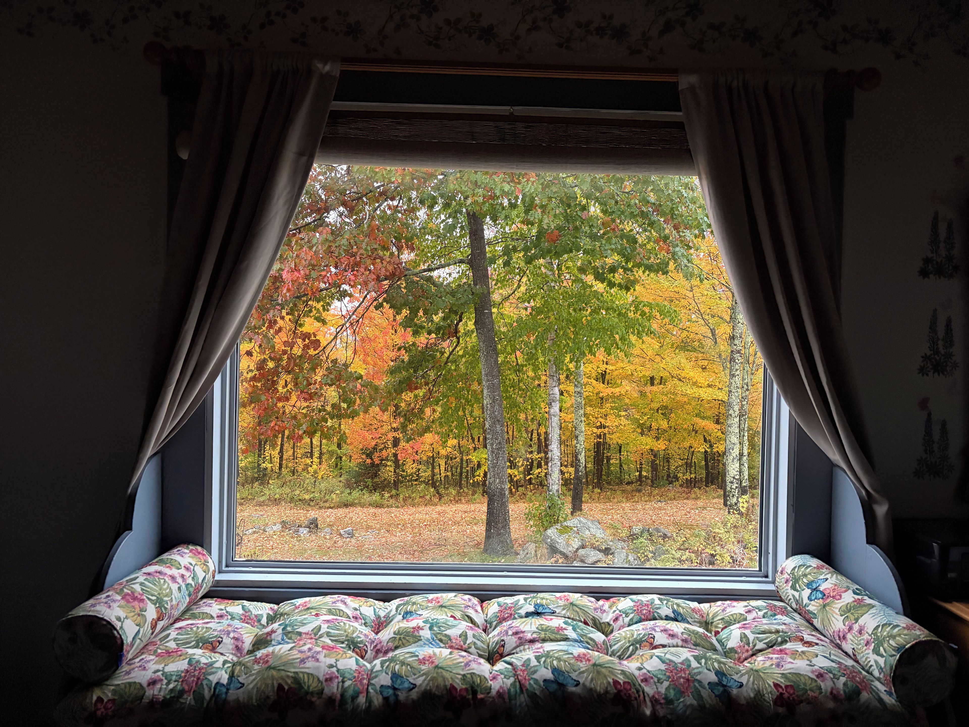 Une chambre avec un lit placé face à une fenêtre ornée de rideaux, un coussin à motifs floraux et une vue sur les arbres aux couleurs automnales à l’extérieur.