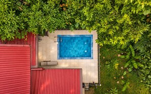 Ein Dachpool mit einem roten Gebäude und üppiger, ihn umgebender Bepflanzung.