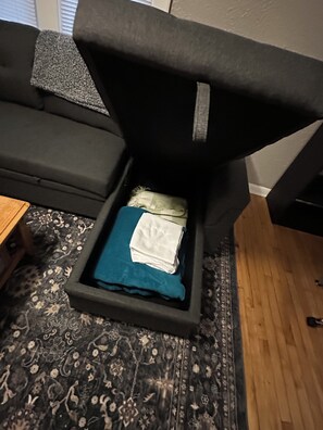 A black sofa with a cushion, a patterned rug, and a wooden floor. - 2-Bedroom Upper Unit Duplex on Quiet Street in Roseville (Roseville)