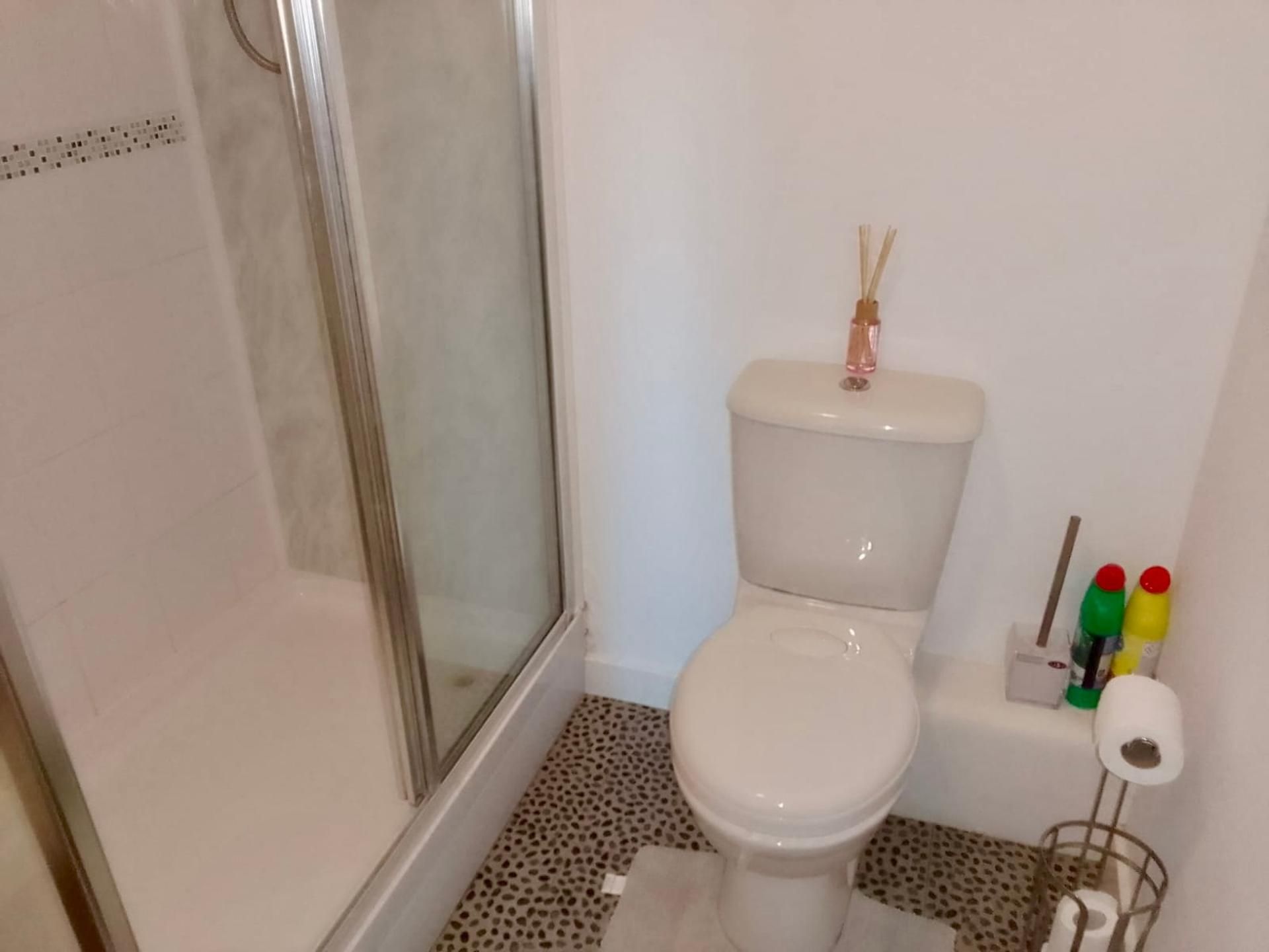 A bathroom with a toilet, shower, and toilet paper holder.