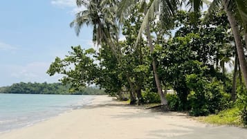 A beach with palm trees and a clear sky.