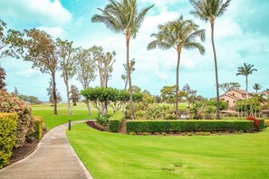 Un campo de golf bien cuidado con un sendero, palmeras y un área residencial al fondo.