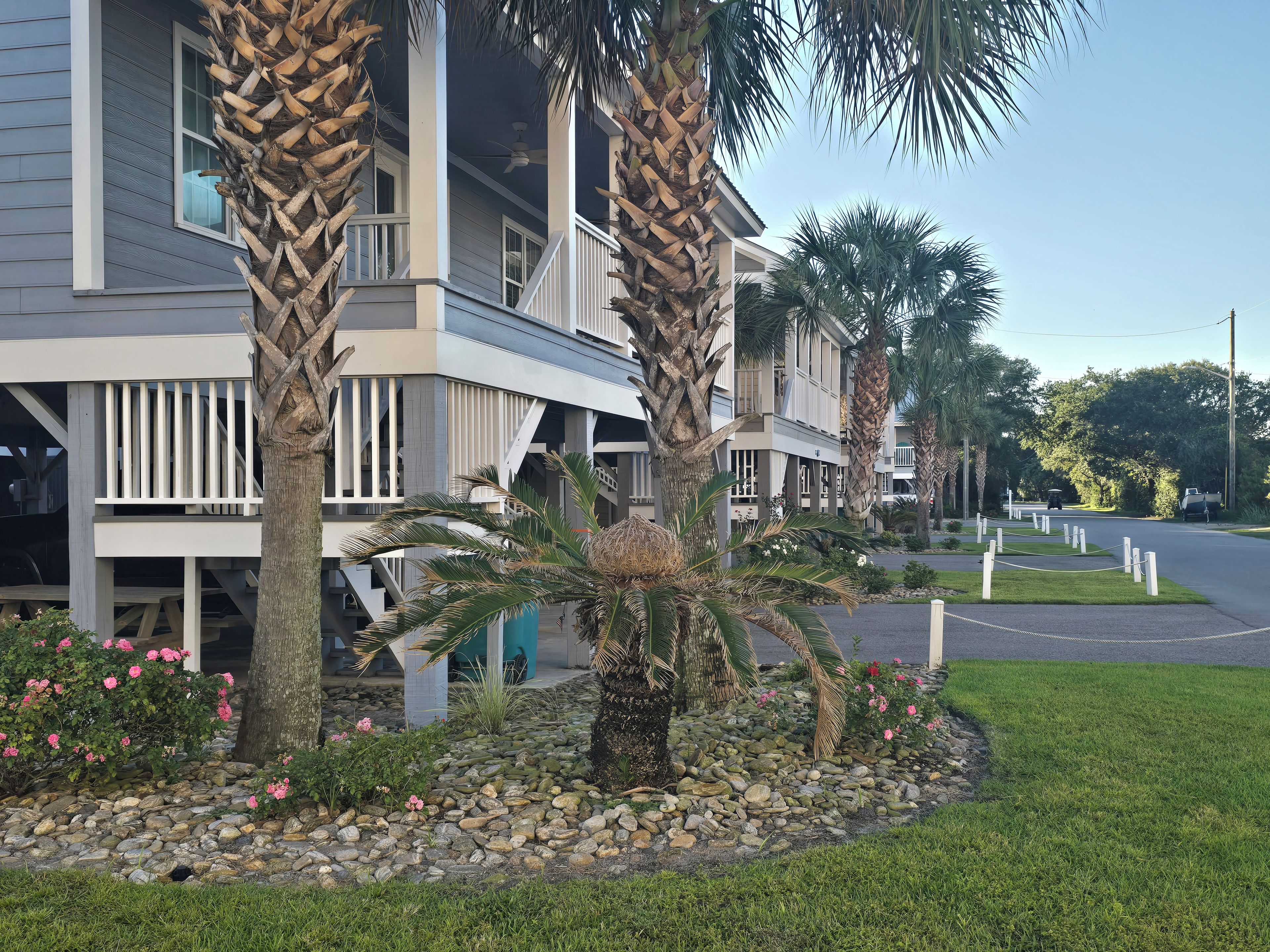 A residential building with a porch, palm trees, and a garden with rocks and pink flowers.