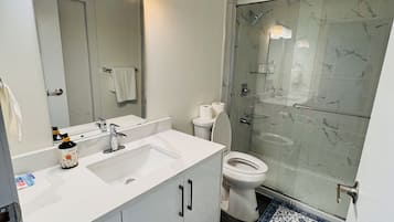 Une salle de bain moderne avec une douche à parois de verre, un lavabo blanc avec un miroir au-dessus et des toilettes.