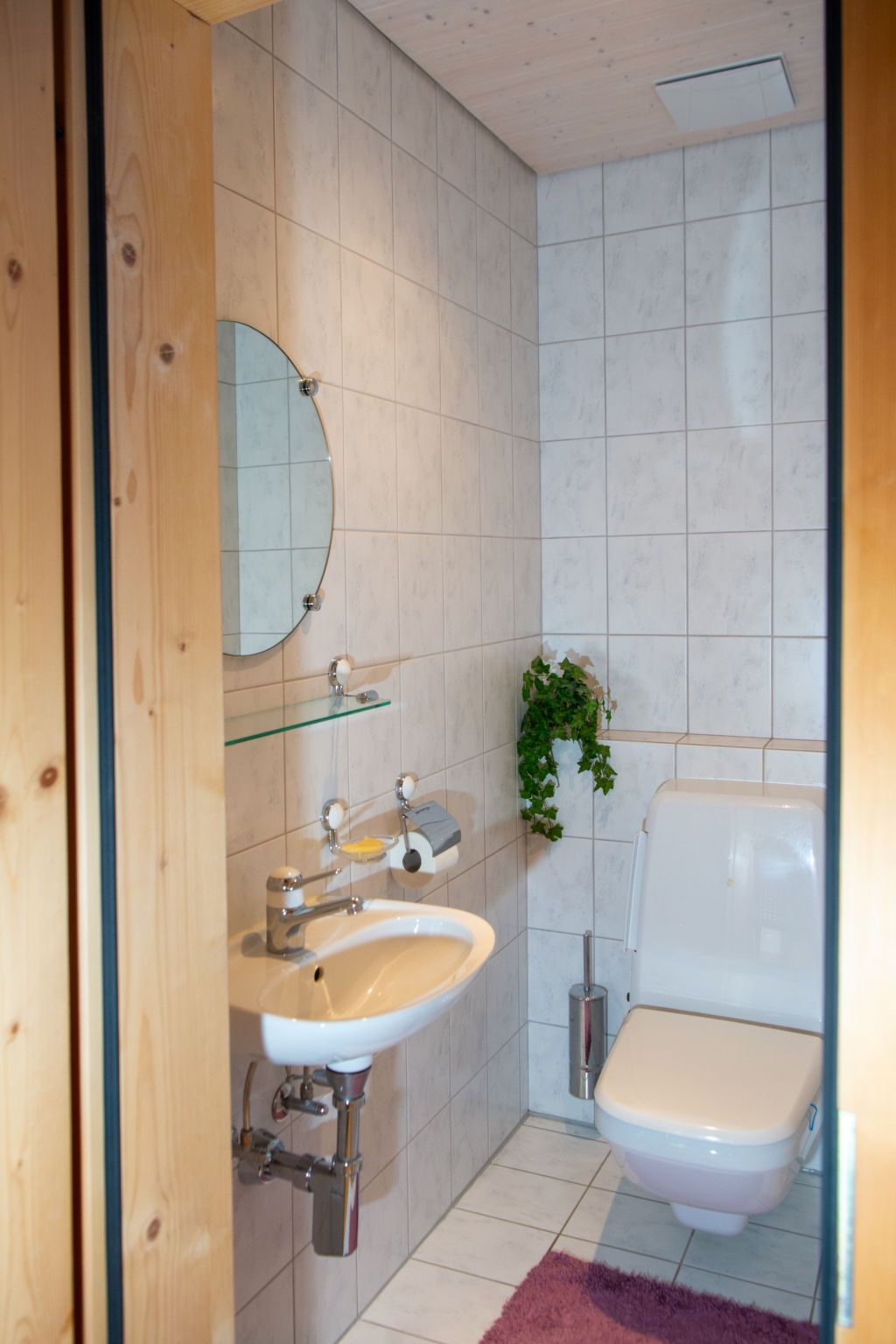 A bathroom with a sink, mirror, toilet, and a small plant.