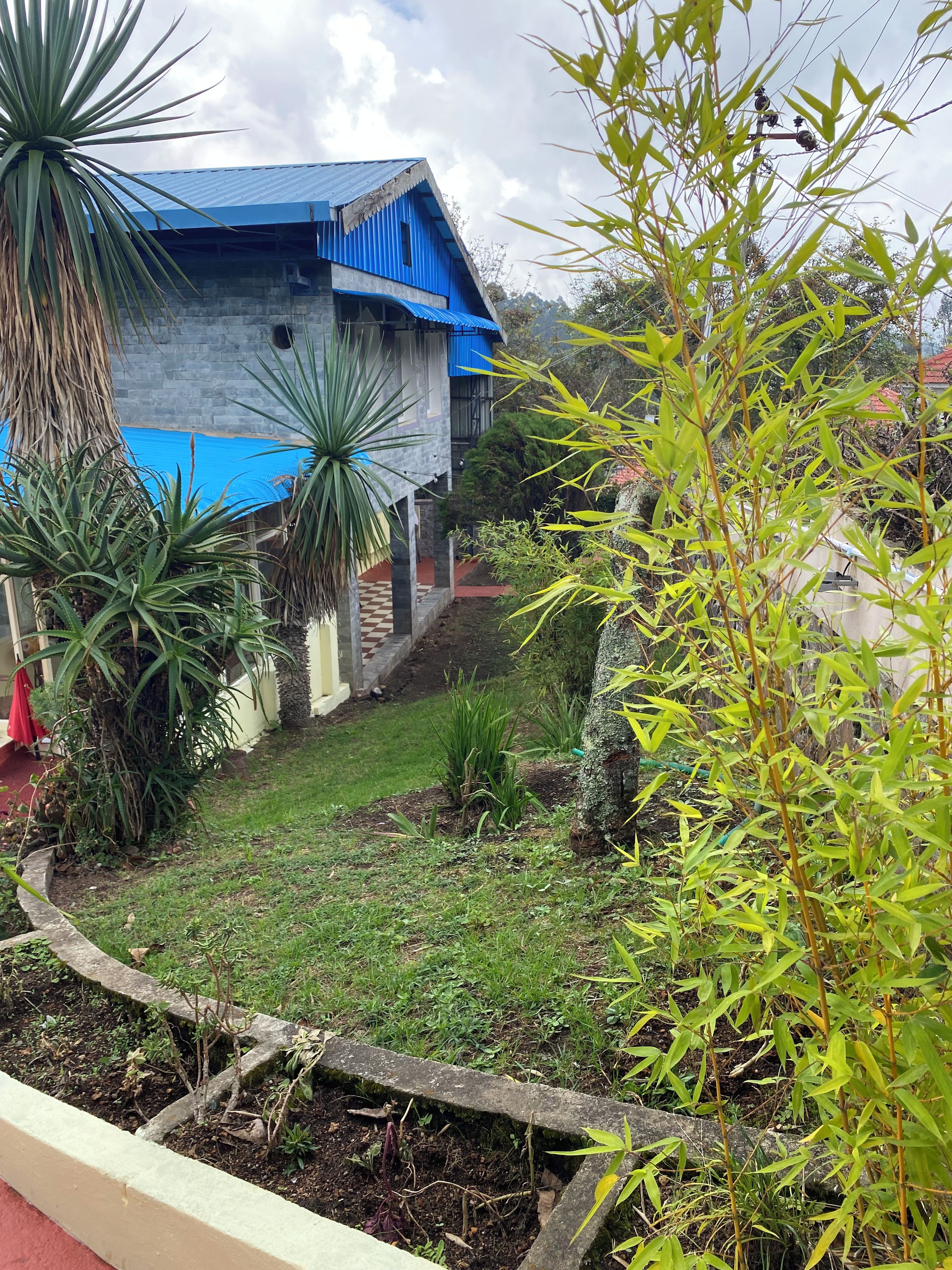 Um edifício com telhado azul, rodeado por plantas diversas e um espaço ajardinado.
