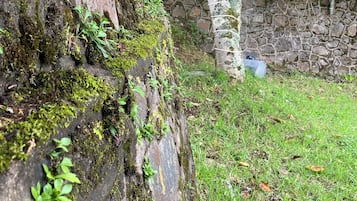 A stone wall with moss and small plants growing on it, a grassy area, and a tree with a wire fence in the background.