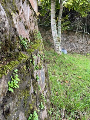Paredes de pedra com musgo e pequenas plantas, área gramada e uma árvore com cerca de arame ao fundo.