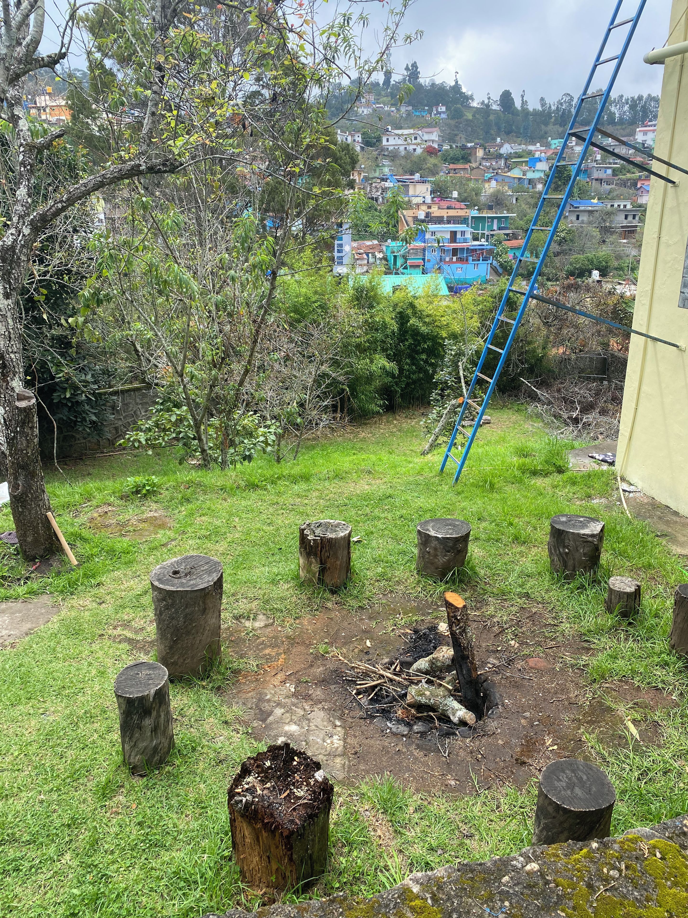 Un espacio al aire libre con césped, troncos de madera, una escalera y una vista de una zona residencial al fondo.
