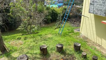 Un césped con una escalera azul apoyada contra una pared amarilla, rodeado de árboles y troncos de madera.