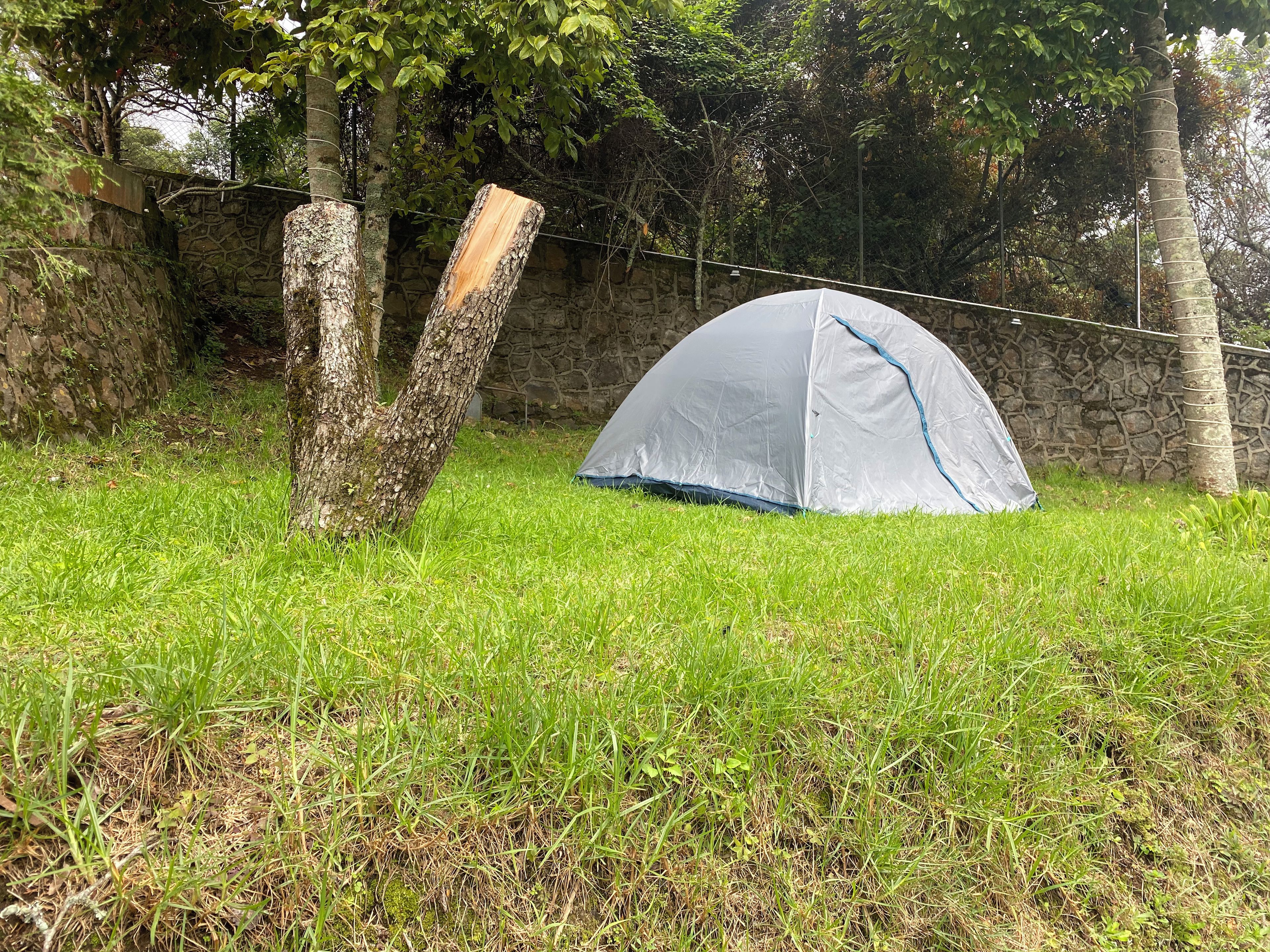 A tent set up in a grassy area with a stone wall and trees in the background.