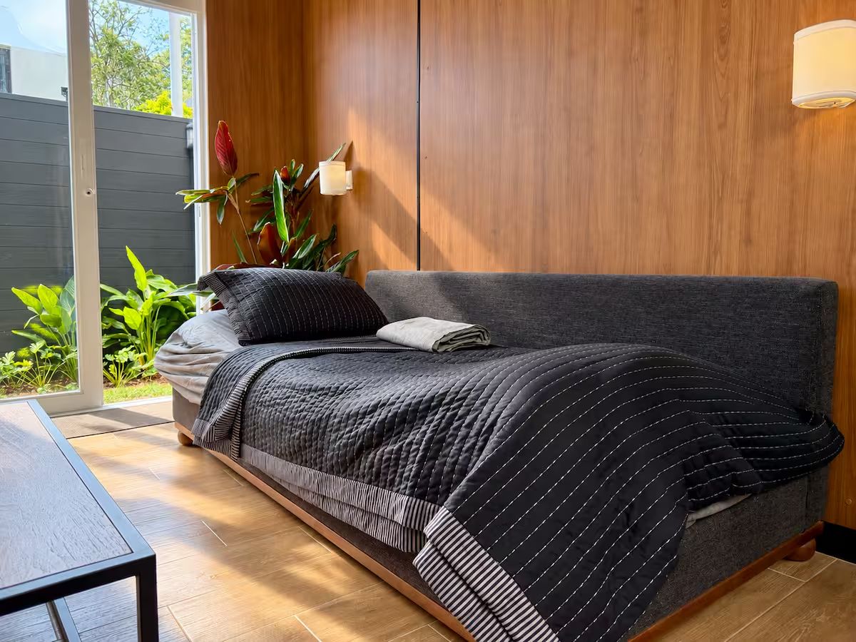 A modern bedroom with a grey sofa bed, a bedside table, and a potted plant.