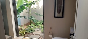 A view of a room with a large window, a plant, and a small garden area with stepping stones.