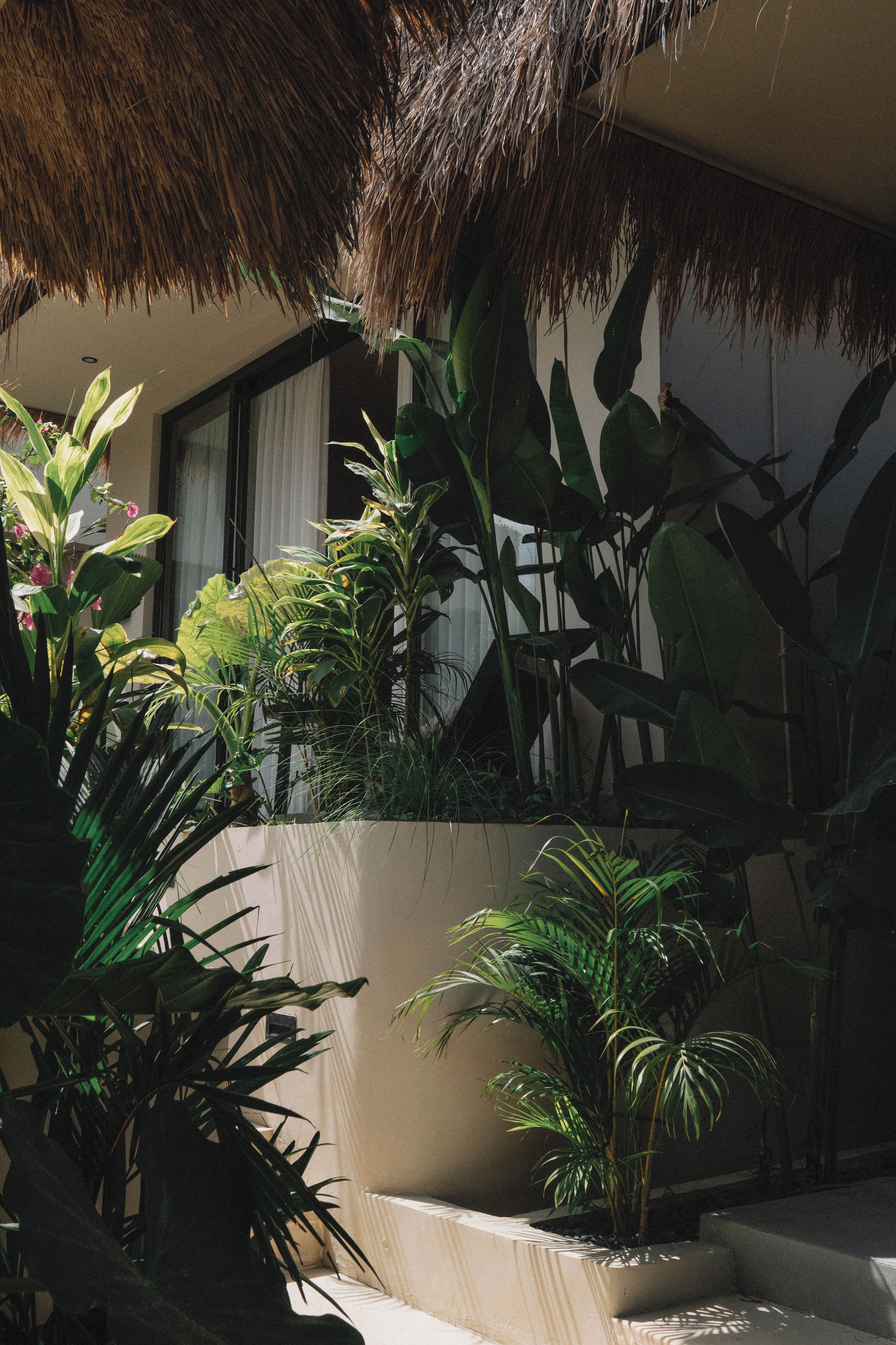 Un espacio exterior bien cuidado con diversas plantas, una jardinera de concreto y una estructura con techo de paja.