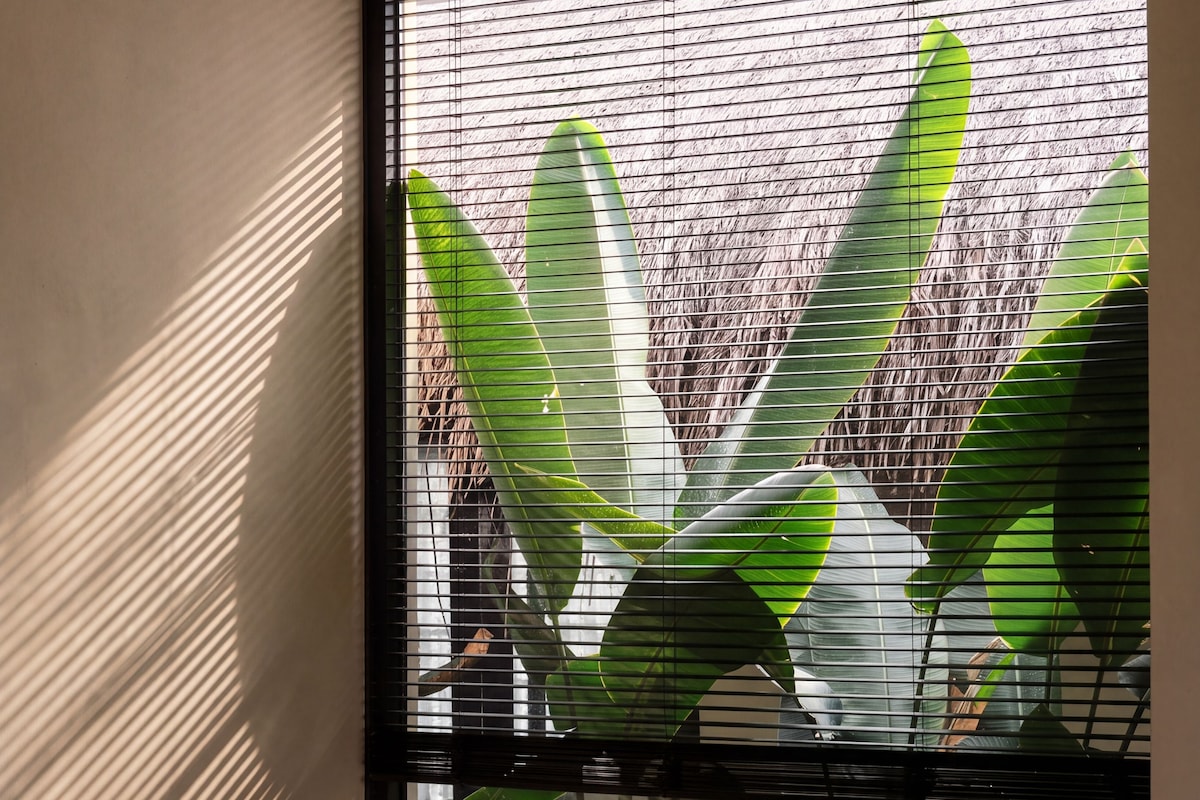 Una ventana con persianas horizontales, un banco acolchado con cojines y hojas verdes grandes al fondo.