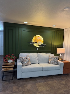 Living area - Charming 3-bedroom farmhouse in beautiful Austin with AC (Austin)