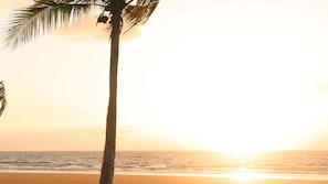A beach scene with a palm tree and the ocean. - Beach Shack Escape at Mission Beach – Walk to the Sand (Mission Beach)