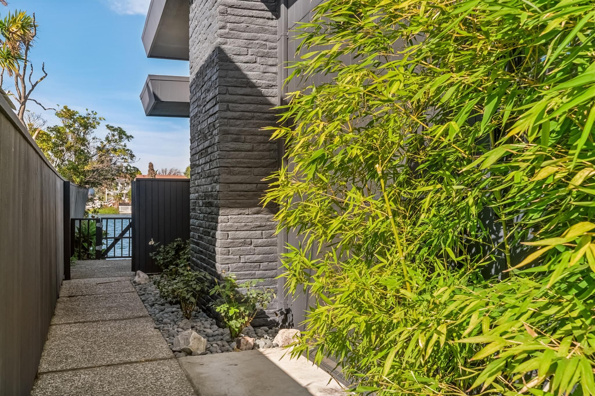 A pathway leading to a building with a stone facade and a bamboo plant in the foreground.