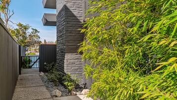 A pathway leading to a building with a stone facade and a bamboo plant in the foreground.