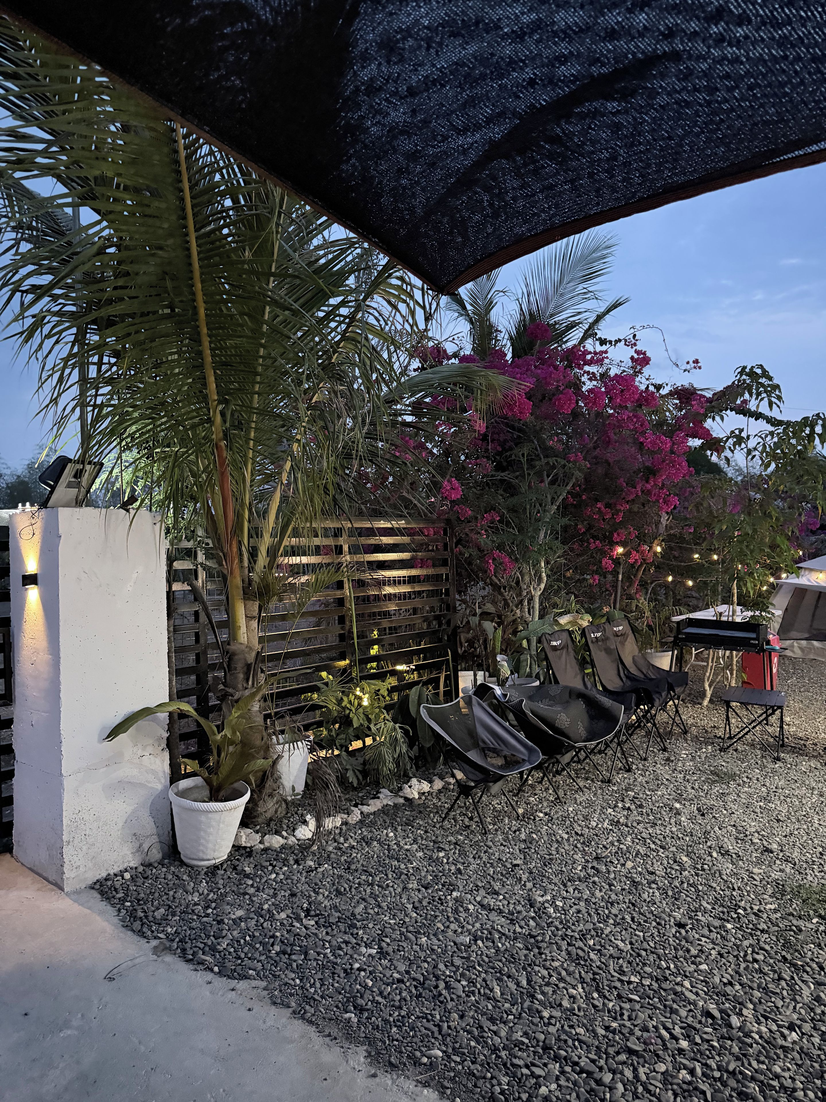 An outdoor seating area with a gravel ground, potted plants, and a wooden fence.