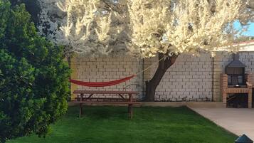 A patio area with a picnic table, a barbecue grill, and a tree with white blossoms.